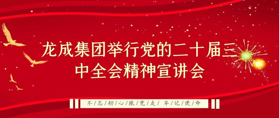 龙成集团举行党的二十届三中全会精神宣讲会